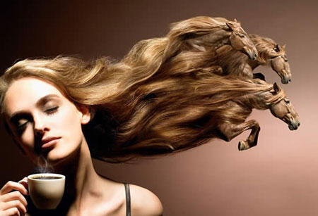 2007ins_40.jpg