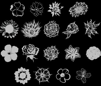 Flower Vector Graphics Flower Vector Graphics