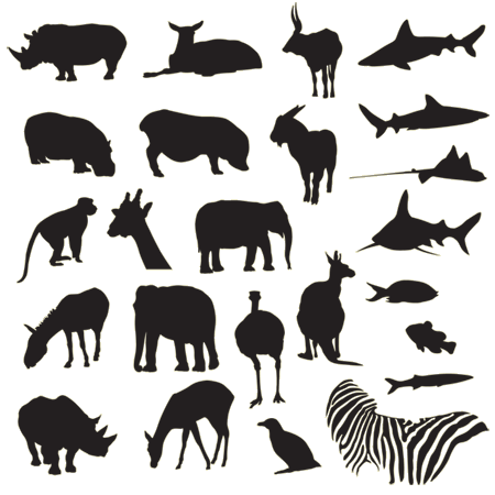 Free Vector Pack – Safari and Zoo Animals Free Vector Pack – Safari and Zoo Animals