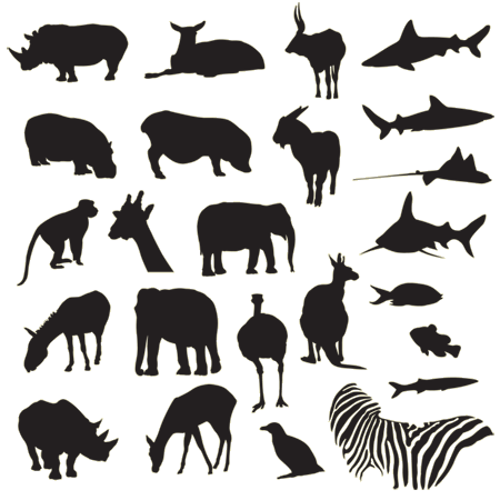 Free Vector Pack – Safari and Zoo Animals