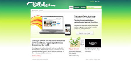 Apple products in web design