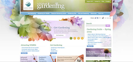 Illustration in Web Design
