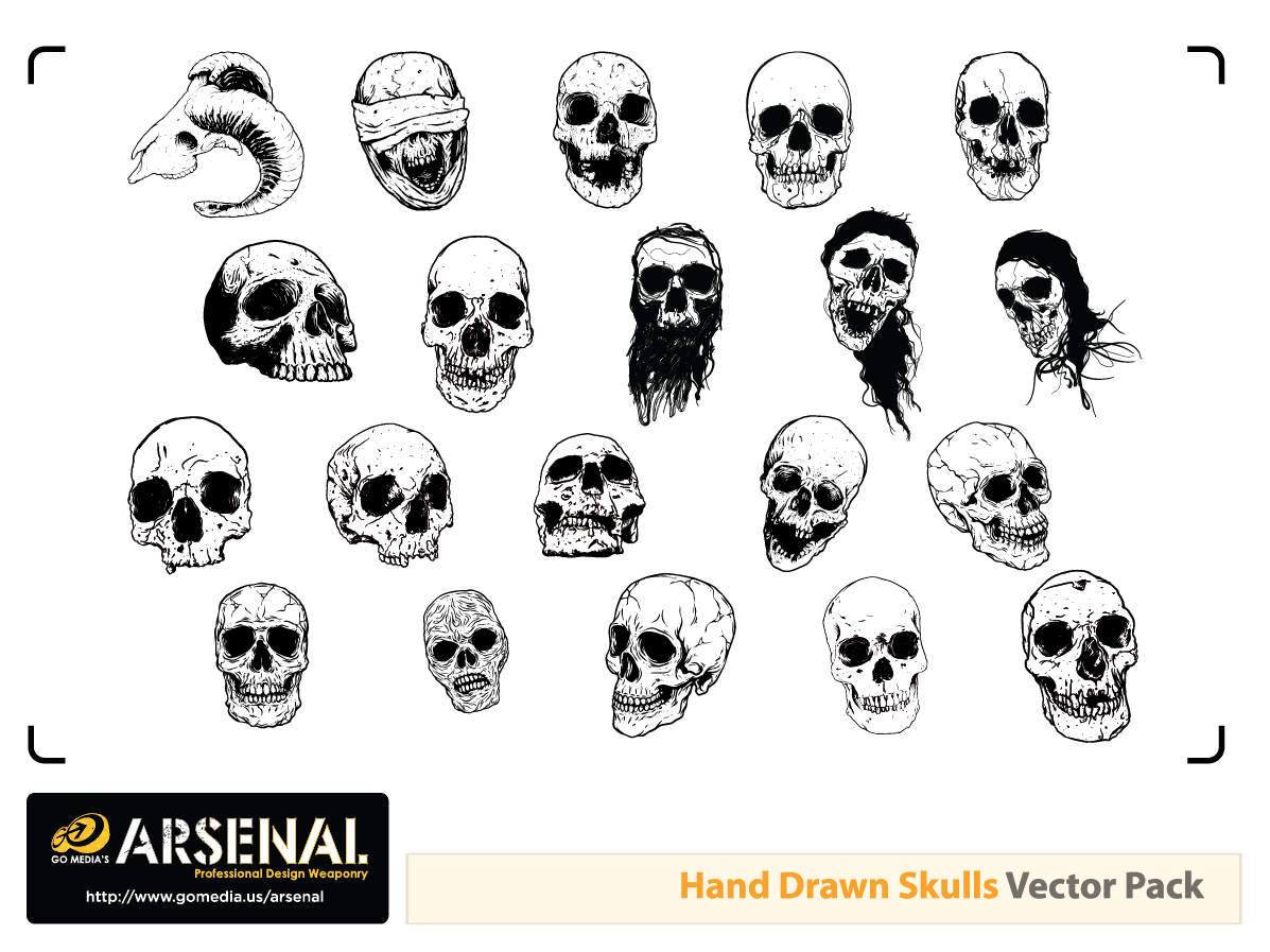 free skull vector
