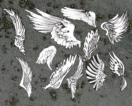 Illustrated Wings
