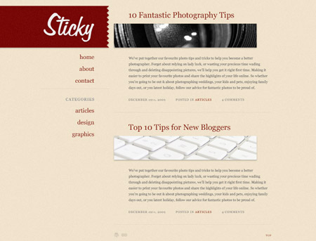 View the Sticky Wordpress theme