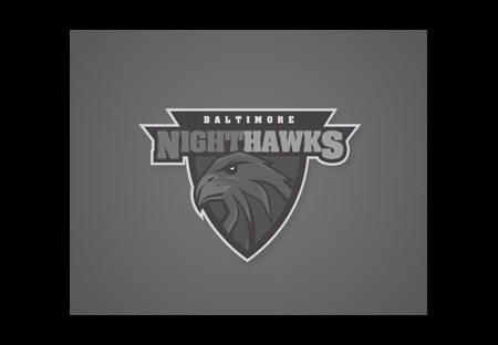 View the logo design